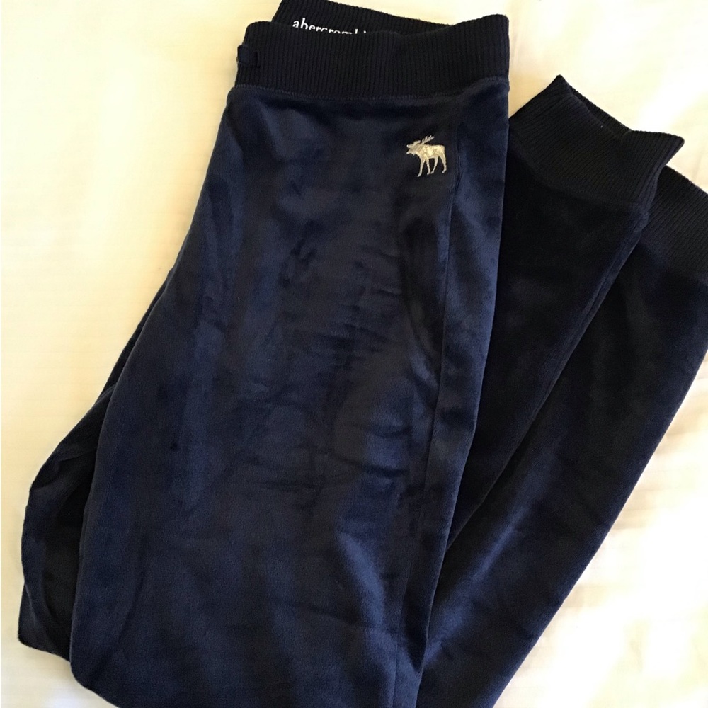 Abercrombie Kids Navy Velour Jogger Pants 13/14
